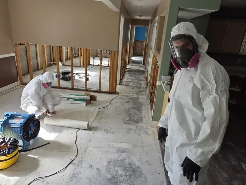 Category 3 black water backup in an Alpine basement